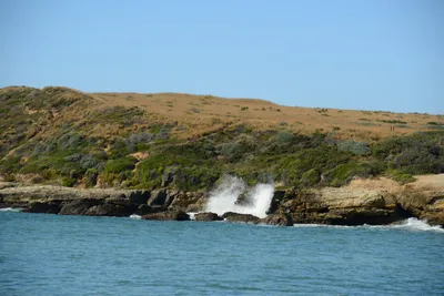 DSC_2613 (Large).JPG